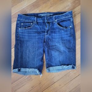 American Eagle 14 Shorts